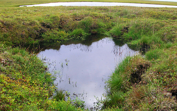 A thermokarst lake